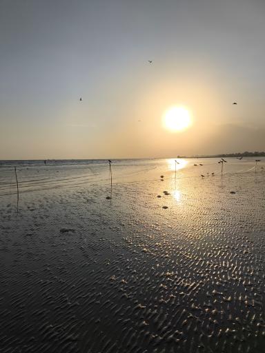 عکس پارک ساحلی غدیر