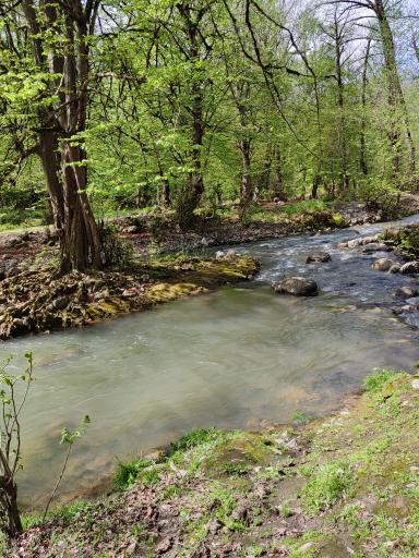 عکس خان ببین