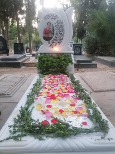 عکس قطعه 42 دارالرحمه شیراز
