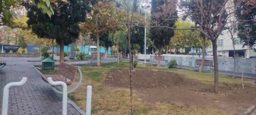 عکس بوستان میرزای شیرازی