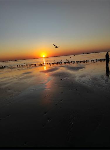 عکس پارک ساحلی غدیر