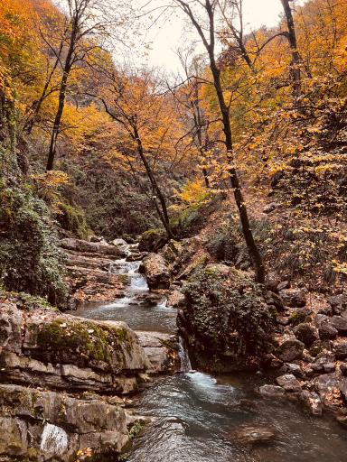 عکس خان ببین