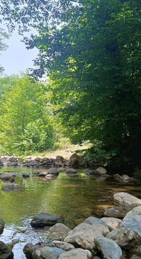 عکس خان ببین