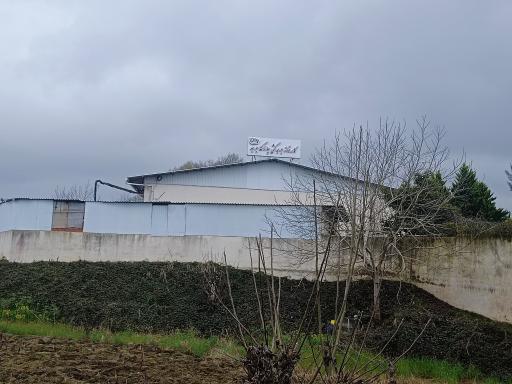 عکس جوجه کشی چالاکی