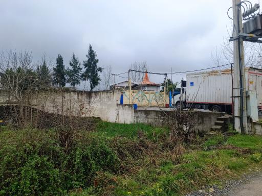عکس جوجه کشی چالاکی