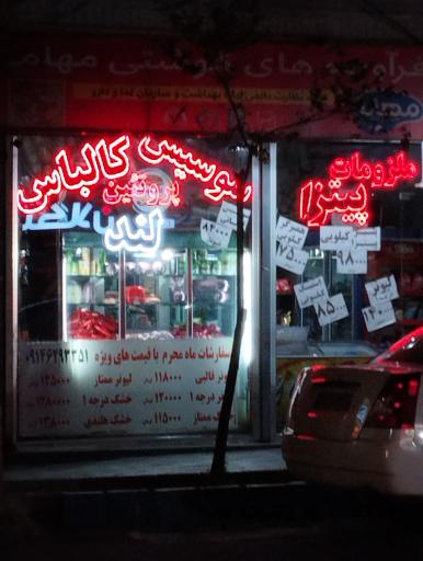 عکس فرآورده های گوشتی پروتئین لند