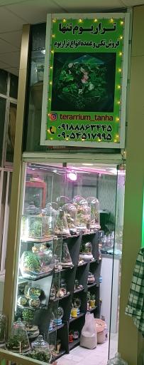 تراریوم تنها