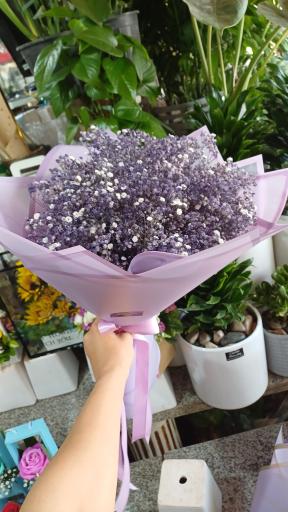 عکس گل فروشی کاکتوس اراک