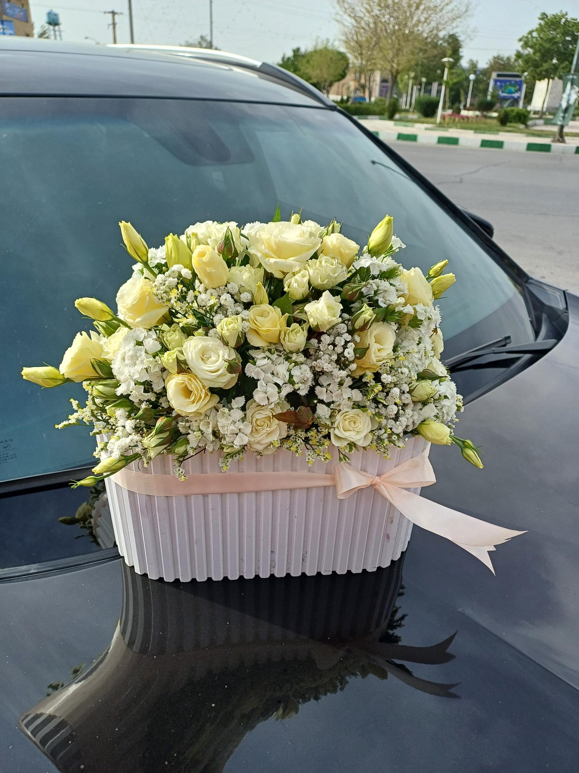 عکس گل فروشی کاکتوس اراک