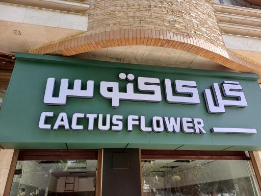 عکس گل فروشی کاکتوس اراک