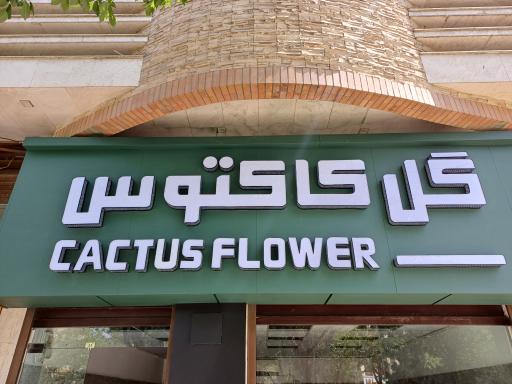 عکس گل فروشی کاکتوس اراک