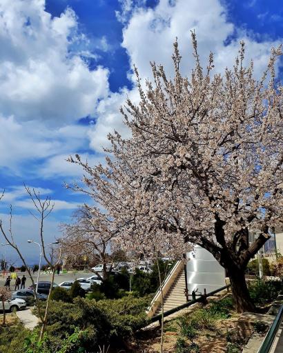 عکس دانشگاه آزاد اسلامی واحد علوم و تحقیقات