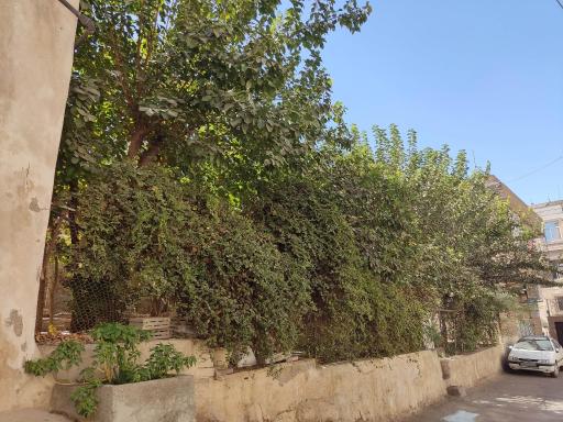 عکس پارک همت پیر