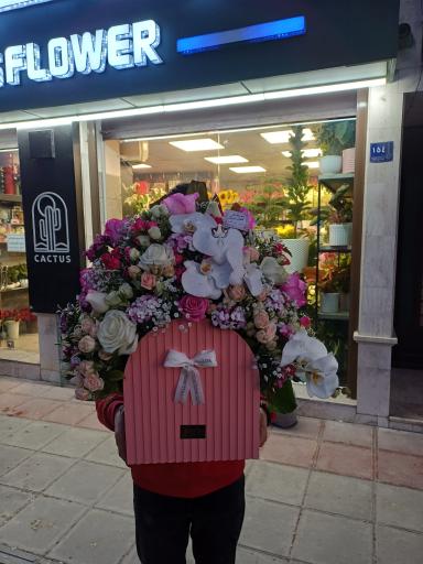 عکس گل فروشی کاکتوس اراک