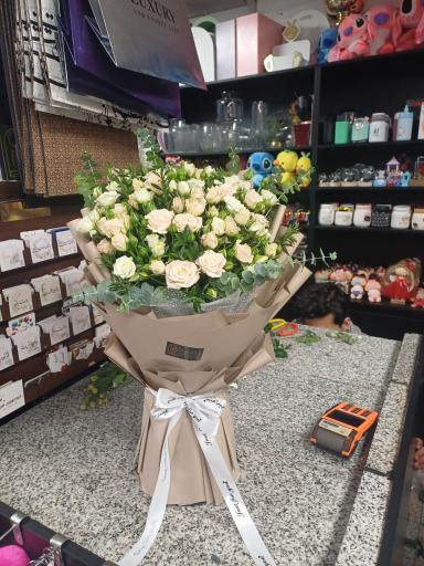 عکس گل فروشی کاکتوس اراک