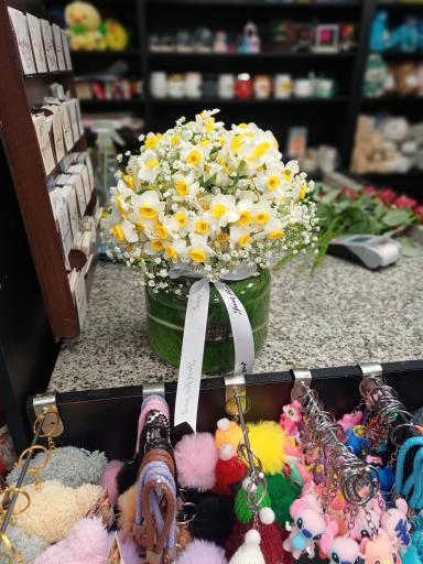 گل فروشی کاکتوس اراک