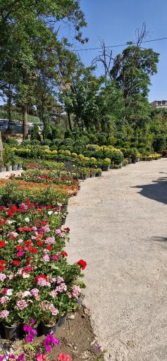 عکس باغ گل فدک