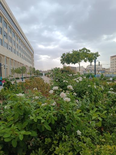 عکس ره باغ حضرت زهرا (س)