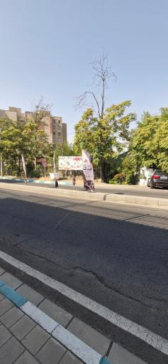 عکس باغ گل فدک