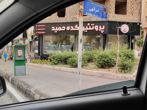 عکس پروتئین کده حمید