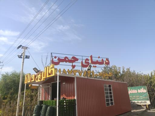 عکس دنیای چمن 