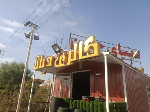 عکس دنیای چمن 