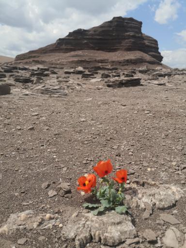 عکس جزیره دریاچه سد منجیل