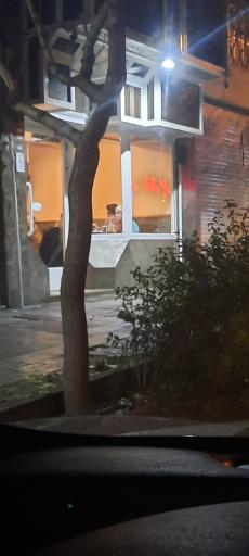 عکس پیتزا ادبرت