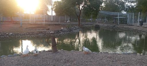 عکس دهکده گردشگری ساحلی والفجر