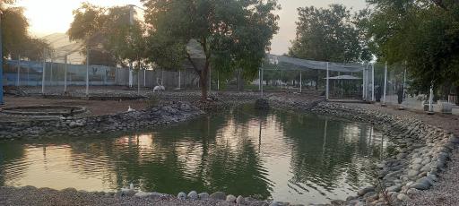 عکس دهکده گردشگری ساحلی والفجر