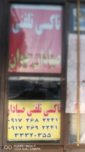 تاکسی تلفنی صیادان جوان