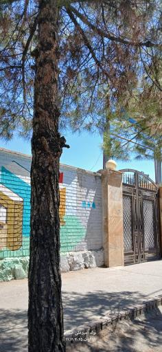 عکس دبیرستان دوره اول متوسطه دخترانه صدیقه