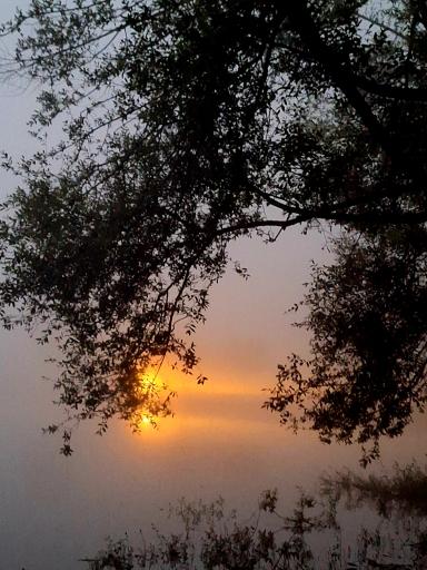 عکس جزیره دریاچه سد منجیل