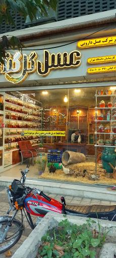 عسل گل گندم گیان