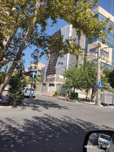 پاتیناژ آرامیس