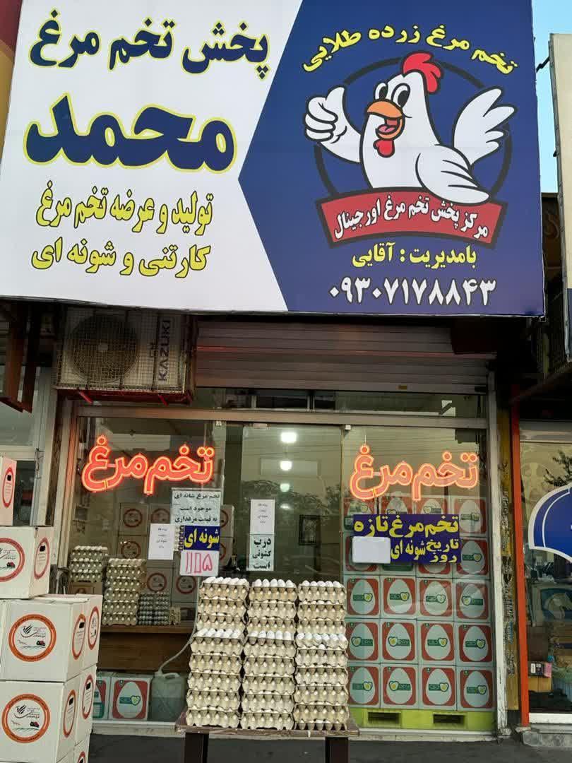 عکس پخش تخم مرغ محمد 