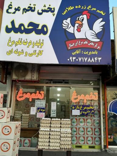 عکس پخش تخم مرغ محمد 