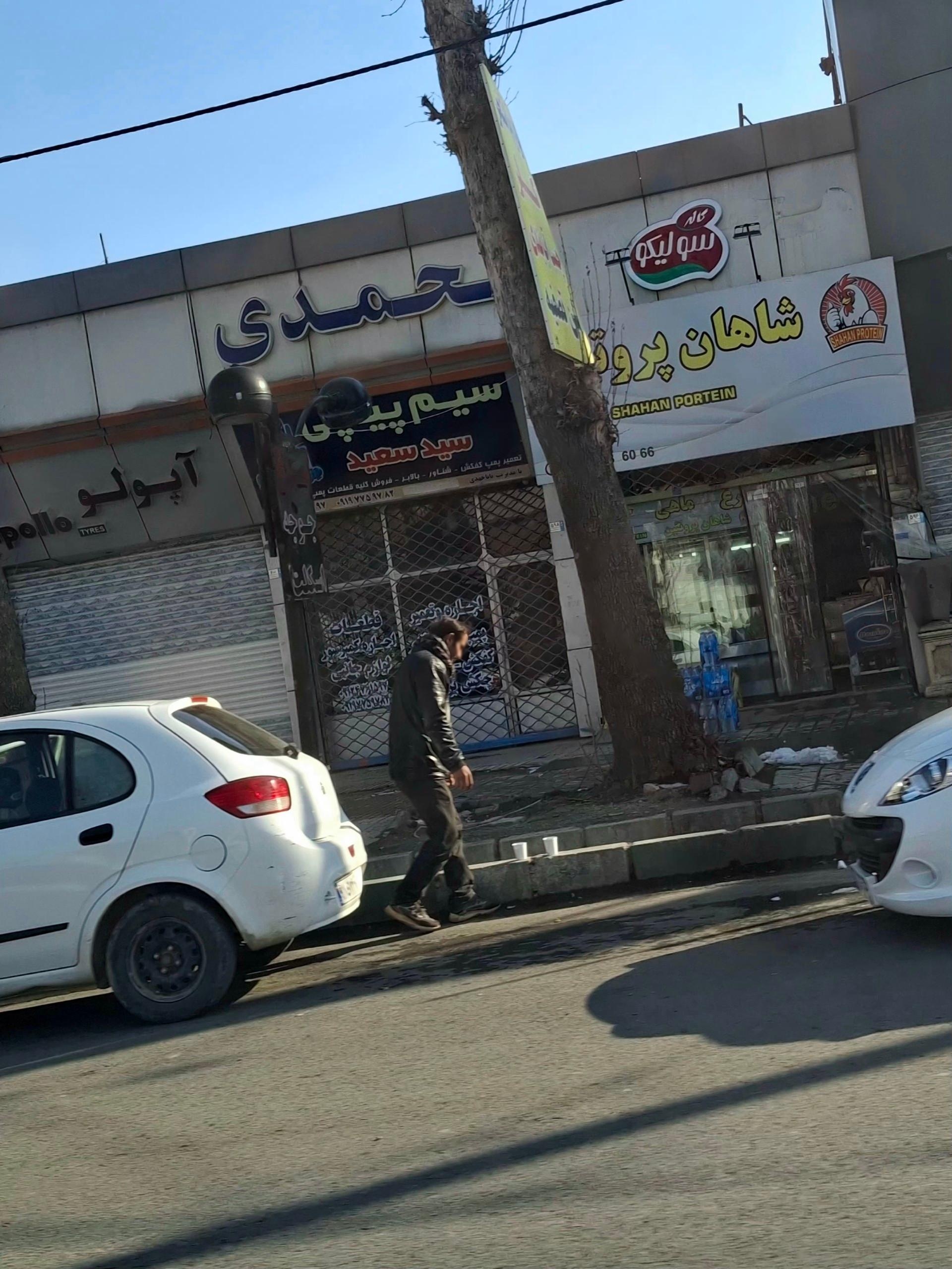 عکس سیم پیچی سیدسعید