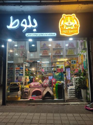 عکس پت شاپ بلوط