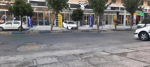 عکس گوریلا دیزاین