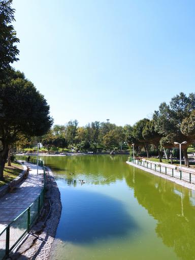 عکس بوستان بعثت