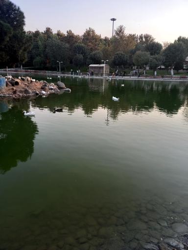 عکس بوستان بعثت