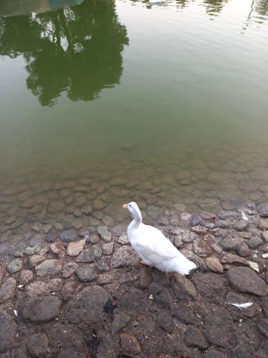 عکس بوستان بعثت