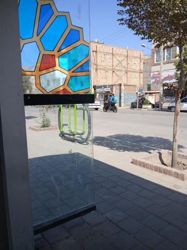 عکس  شقایق 1