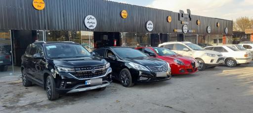 عکس مجموعه زیبایی خودرو دانیال