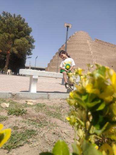 عکس یخدان های دوقلو