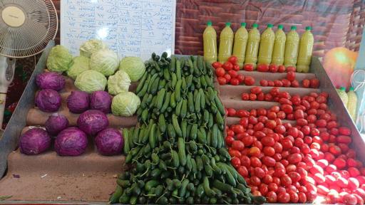 عکس میوه سرای آلا