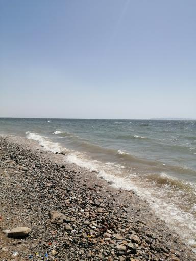 عکس بوستان دولت