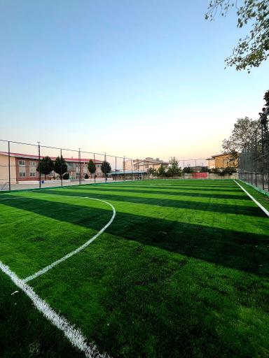 عکس چمن مصنوعی