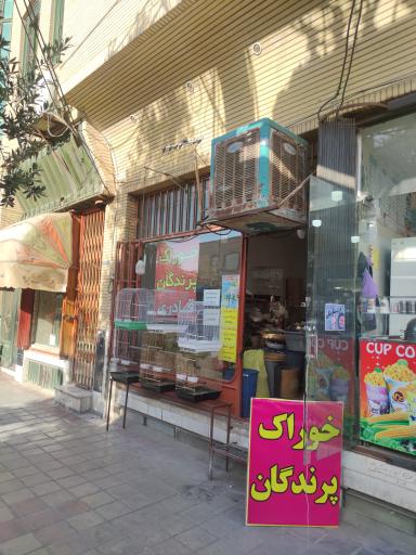 دان فروشی قادری